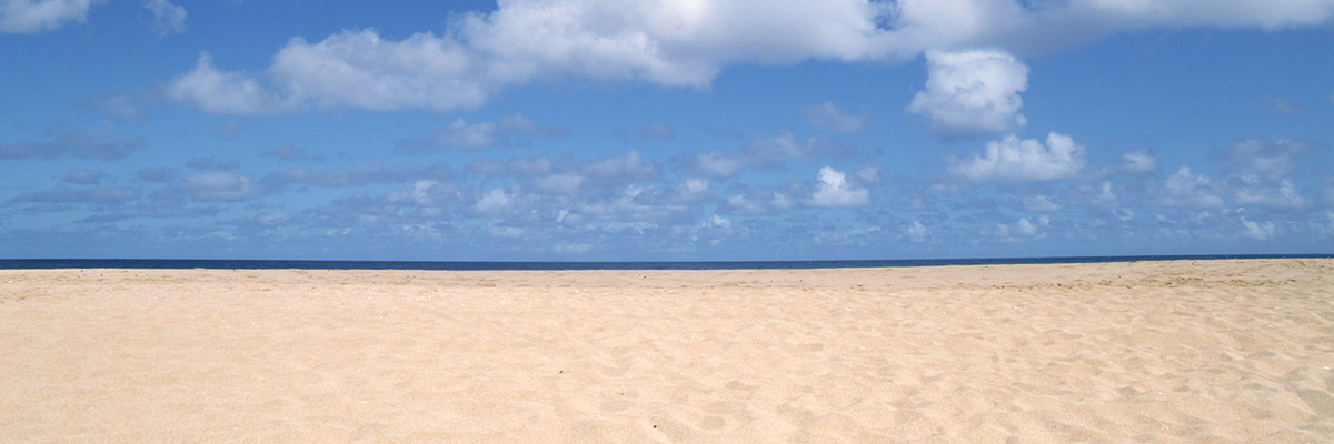 埼玉県内でウェディングフォトを撮るなら！｜コスパが高いフォトウェディング・前撮り5選